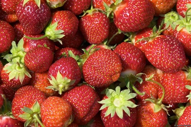 Top Index Of Digitale Bilderwallpapers Wallpapers