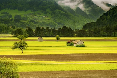 Green Meadows Beautiful Landscape Wallpapers HD Download