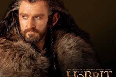 Thorin Oakenshield   The Hobbit: The Desolation Of Smaug Picture