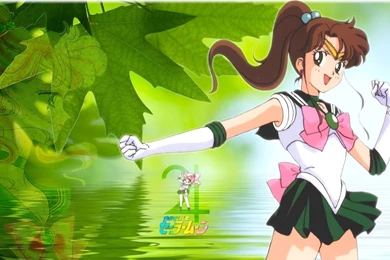 Pretty Guardians   Sailor Moon Wallpapers (12993809)   Fanpop