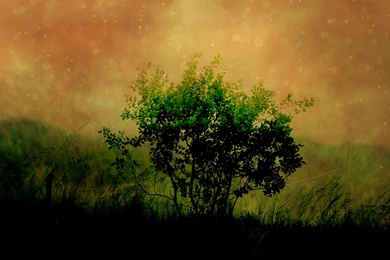 Ubuntu Wallpapers 3   Best Wallpapers Collection