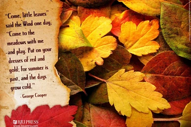 Wallpapers Autumn Leaves   Wallpapers Cave