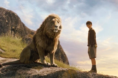 Narnia Lion Aslan Wallpapers