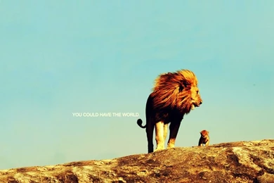 Movies,Narnia Movies Narnia Lions 5000x3878 Wallpapers – Lion ...