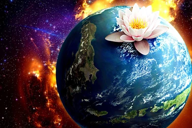 3D Wallpapers Mobile9   Wallpapers HD Fine