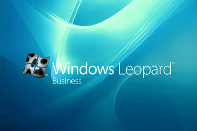 Fractal Leopard Hd Desktop Backgrounds Hd Wallpapers