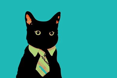 Business Cat Meme 8 Backgrounds HD Desktop Backgrounds