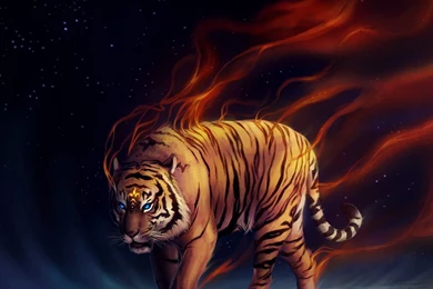 Galaxy S5 Wallpapers HD   Beautiful, Stunning Wallpapers