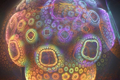 Magic Mushroom By Mynameishalo High Resolution