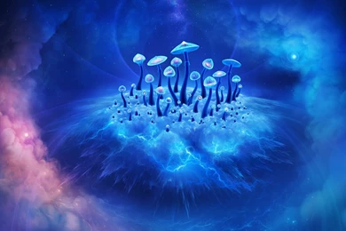 3d Art Beauty Abstract Cloud Mushroom Psychedelic Wallpapers ...