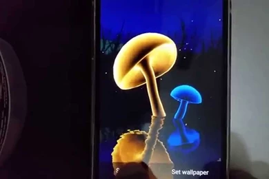 Magic Mushrooms 3D Live Wallpapers   YouTube
