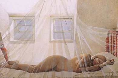 Wyeth Paintings