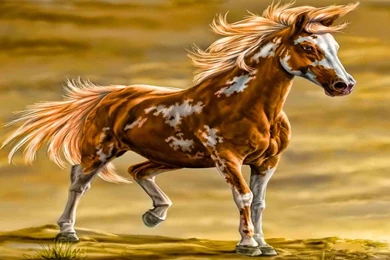 Art, Illustration, Paint, Photo, Wallpaper, Desktop, Colorful ...