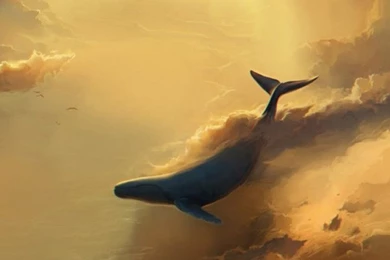 Lock Screen Wallpapers 840   HD Wallpapers