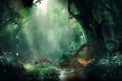 Deer Art Free HD Desktop Wallpapers