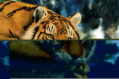 Mature Wallpapers   Wallpapers Cave