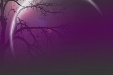 Pretty Backgrounds Picture   Wallpapers Zone