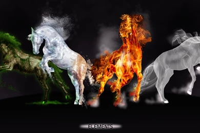 Which Element Are You?