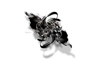 Madness Is... < Vector < Gallery < Desktop Wallpapers