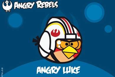 Angry Birds Star Wars Character Angry Luke Cartoon HD Wallpapers ...