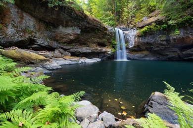 Nature Wallpapers HD   Page 5 Of 62   Download Nature Wallpapers Hd Free