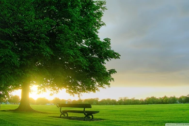 Summer Landscape Nature 7 HD Desktop Wallpapers : Widescreen : High ...