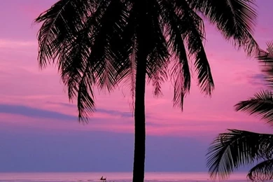 Samsung Galaxy S6 Wallpapers On Pinterest