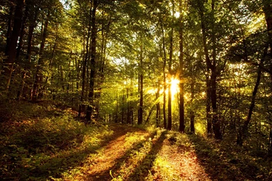 Cool Nature HD Wallpapers