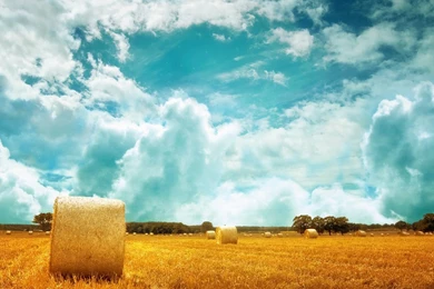 Trololo Blogg: Wallpapers 768x1366