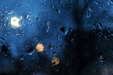 Rainy Day Window Bokeh Android Wallpapers