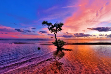 Wallpaper, Hd, Beautiful 02