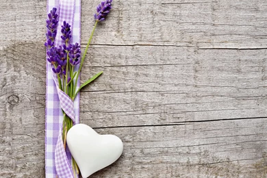 Lavender Wallpapers For Widescreen Desktop PC 1920x1080 Full HD