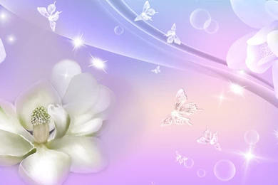 Water, Lily, In, Lavender, Full, Screen, High, Definition ...