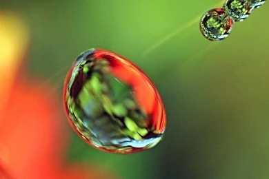 31 Beautiful Water Droplets