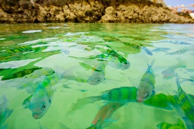 Beautiful Beach Hd Wallpapers (43)