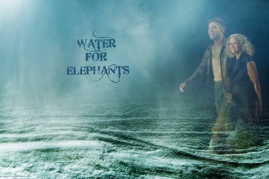 Beautiful, Wallpaper, Serene, Water (