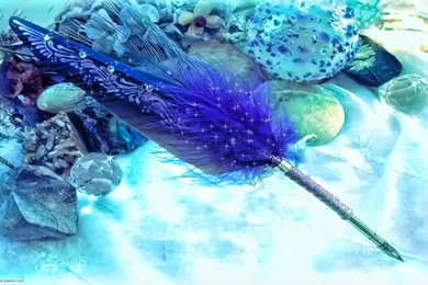 Desktop Hd Peacock Feather Images