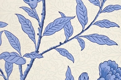 Chinese Peony Floral Wallpapers