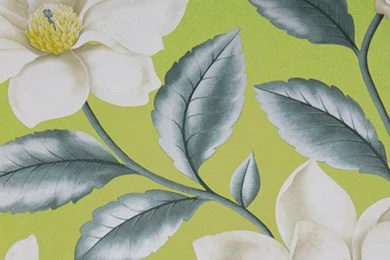 Bold Floral Wallpapers