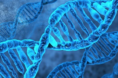 DNA HD Wallpapers   HD Images New