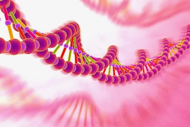 Dna Fingerprinting Desktop Wallpapers