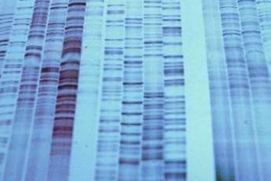 Free Desktop Wallpaper, Radio