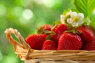 Strawberry Fruit HD Wallpapers
