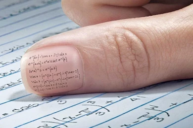 Free Funny Wallpaper Backgrounds And Funny Pictures For Desktop