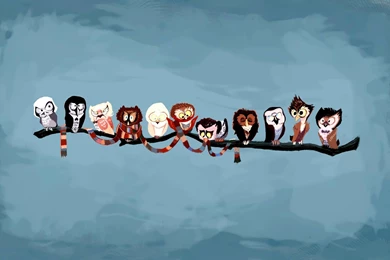 Owl Funny Wallpapers