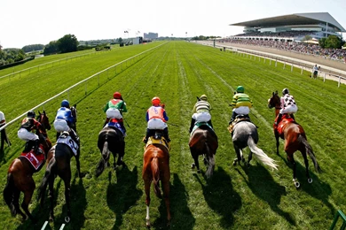 Horse Racing ArlingtonTurf.jpg