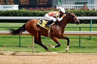 Horse Racing Wallpapers   Wallpapers Cave