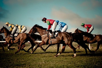 Wallpapers Horse Racing United Kingdom England Hq For PC 1366x768 ...