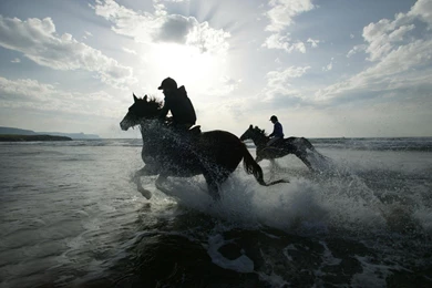 Horse Racing Awesome HD Wallpapers   All HD Wallpapers