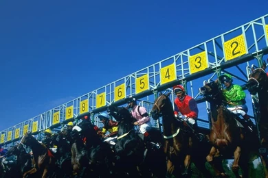 Horse Racing At Saratogahorse Racing Wallpapers Bing Images Horse ...